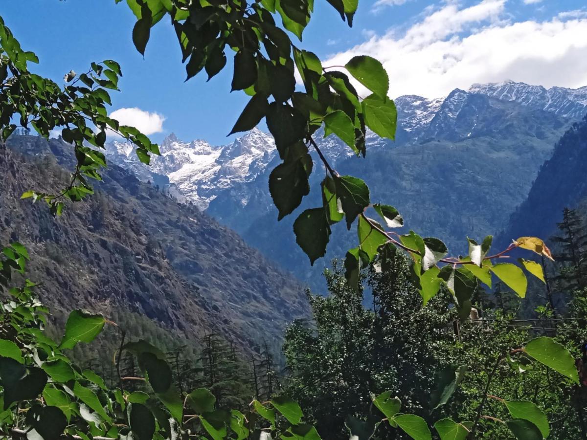 Kasol View酒店 外观 照片