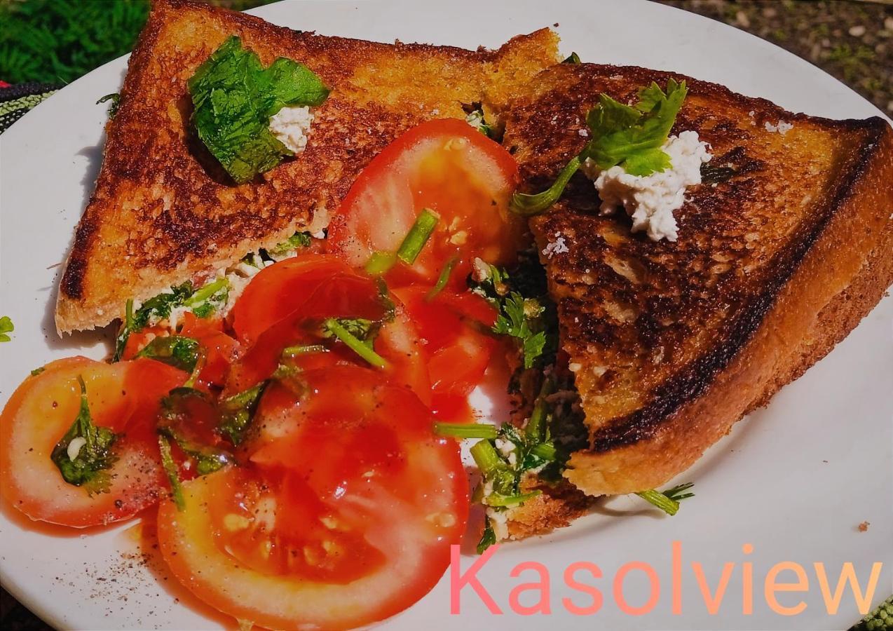 Kasol View酒店 外观 照片